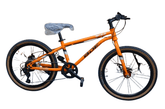 Bicycle 22 BDF Orange B11472 - Colorland Toys